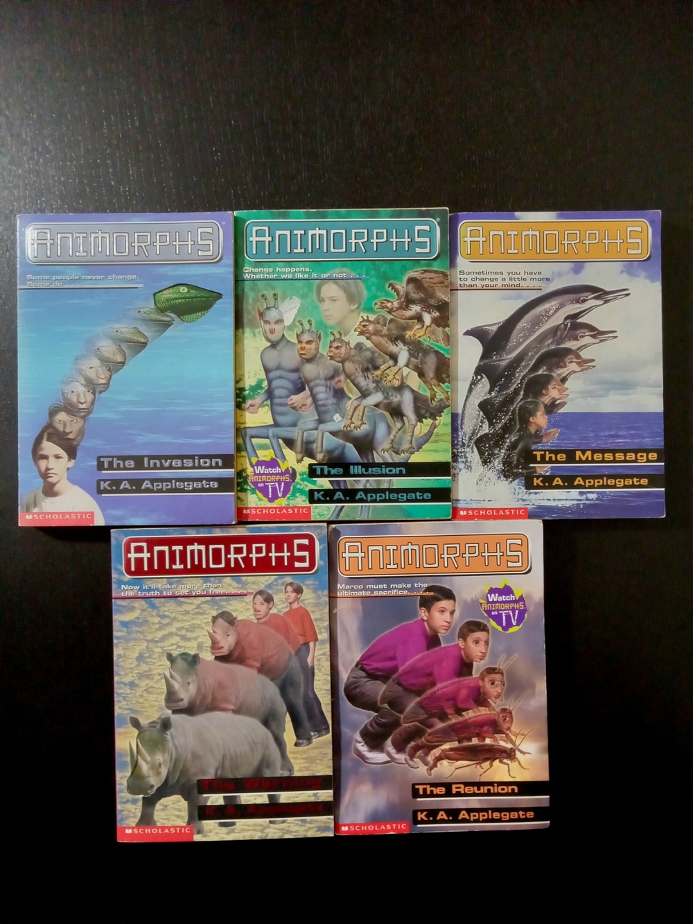90's Animorphs Book Lot